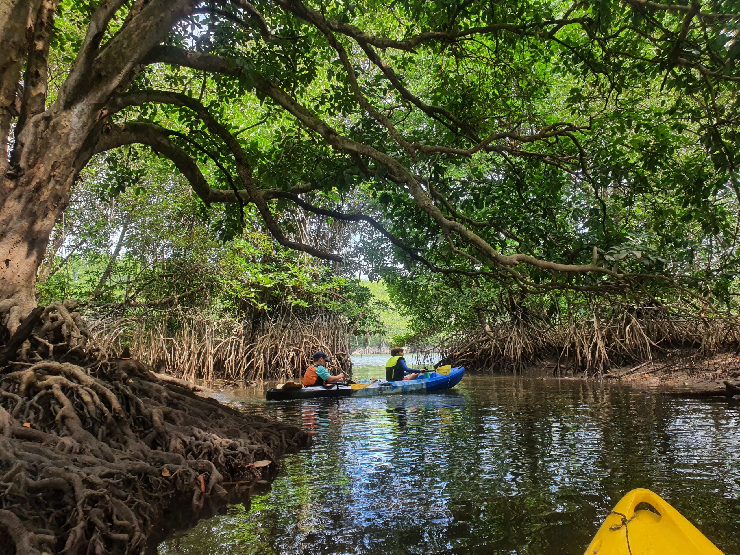 Kayaking adventure